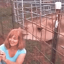 Camel Zoo GIF - Camel Zoo Selfie GIFs