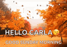 a hello carla good sunday morning greeting card