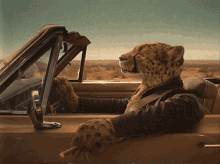 Cheetah Driving GIF - Cheetah Driving Car GIFs