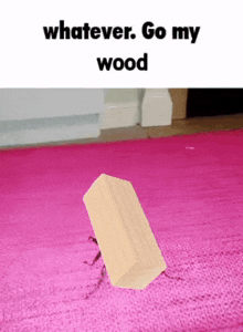 a wooden block is sitting on a pink rug with the caption whatever go my wood
