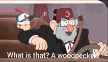 a cartoon of a man driving a car asking what is that a woodpecker