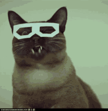 Cat Licking GIF - Cat Licking How You Doin GIFs