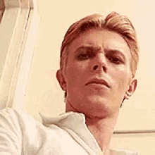 Bowie Reaction GIF
