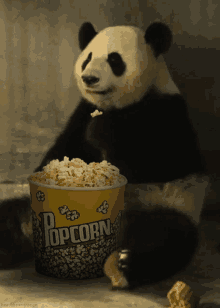 Popcorn Panda GIF
