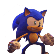 ready to fight sonic the hedgehog sonic prime fighting pose fighting stance
