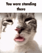 a close up of a cat with its tongue out and the words you were standing there above it