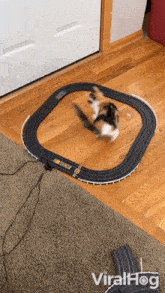 Cat Swatting At A Toy Car Viralhog GIF - Cat Swatting At A Toy Car Viralhog Cat Batting At A Toy Car GIFs