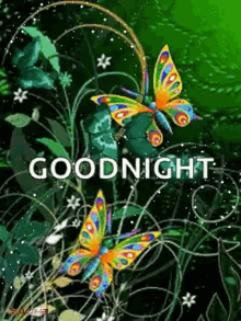 Goodnight Sparkles GIF - Goodnight Sparkles Butterfly GIFs