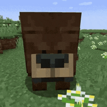 Bear Minecraft GIF
