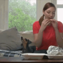 Mission Impawssible GIF - Mission Impawssible Dog GIFs