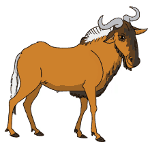 gnu antelope