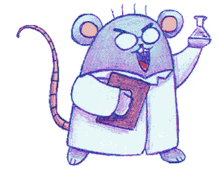 rat rat