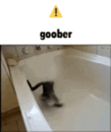 Cat Goober GIF - Cat Goober GIFs