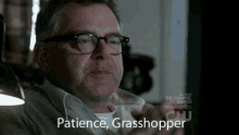 Patience Grasshopper - Grasshopper GIF - Grasshopper Patience Grasshopper Calm GIFs