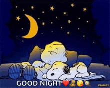 a cartoon of snoopy and charlie brown sleeping under a crescent moon .