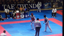 Merabshukakidze Taekwondo GIF - Merabshukakidze Merab Shukakidze GIFs
