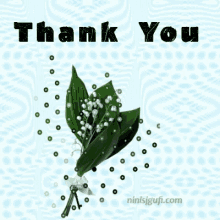 thank_you thanks flowers spring lily of the valley
