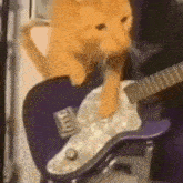 a cat is standing on a purple guitar .