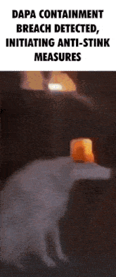 Dapa GIF
