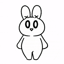 rabbit cute