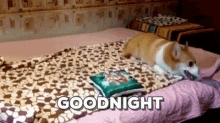 goodnight corgi roll blanket