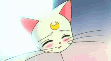 Cat Love GIF - Cat Love Sailormoon GIFs