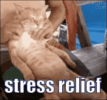 Stress Relief GIF - Stress Relief Stress Relief GIFs
