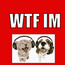 Wtf Im Cool Dog Cool Cat They Are Vibeing GIF - Wtf Im Cool Dog Cool Cat They Are Vibeing GIFs