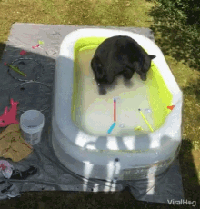 Viralhog Bear GIF - Viralhog Bear Swimming Pool GIFs