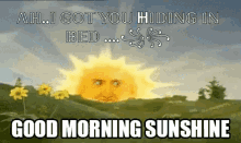 Good Morning Sunshine Nic Cage GIF - Good Morning Sunshine Nic Cage Sun GIFs