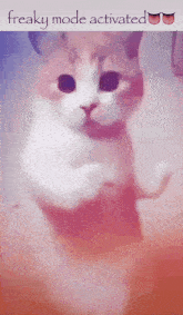 Freaky Mode Cat GIF