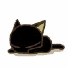 Black Cat GIF - Black Cat Enjoying GIFs