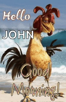 a picture of a rooster on the beach with the words hello john good morning