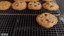 Mmm Cookie GIF - Mmm Cookie GIFs