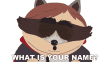 what is your name the coon south park s14e12 mysterion rises