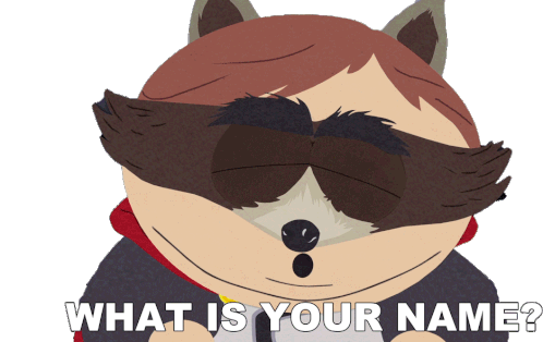 What Is Your Name The Coon Sticker - What Is Your Name The Coon South Park Stickers