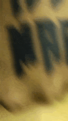 a blurred image of a person 's face with the word marie written on it