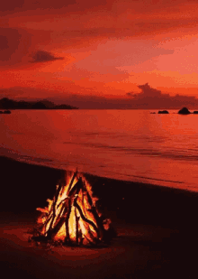 Beach Bonfire GIF