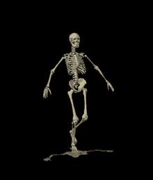 Skeleton Lol GIF - Skeleton Lol Funny GIFs