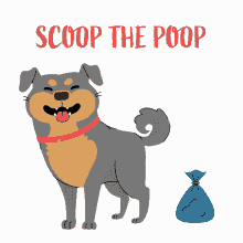 happy cute dog dogs poop