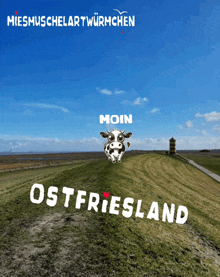 Kuh Ostfriesland GIF - Kuh Ostfriesland Miesmuschelartwuermchen GIFs