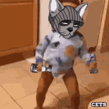 a baby in a diaper with a cat on his head and the word cets below it
