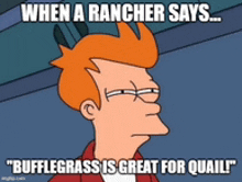 Biologist Bufflegrass GIF - Biologist Bufflegrass Ranch GIFs