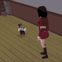 Potat Potatocat GIF - Potat Potatocat Breakdancing GIFs