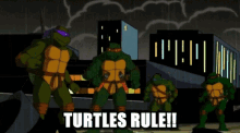 Tmnt Turtles Rule GIF - Tmnt Turtles Rule Ninja Turtles GIFs