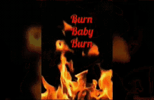 Fire Burn GIF