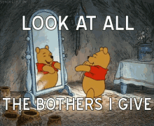 Dgaf Winniethepooh GIF - Look At All The Bothers I Give Idgaf Winnie The Pooh GIFs