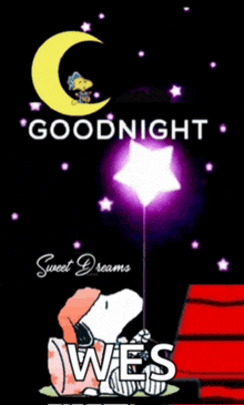 snoopy is sleeping under a crescent moon and holding a star .