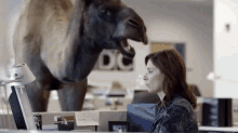 Humpday GIF - Mike Humpday GIFs