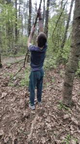 a man in a blue shirt is hanging from a tree branch